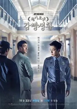 热播电视剧排播动态